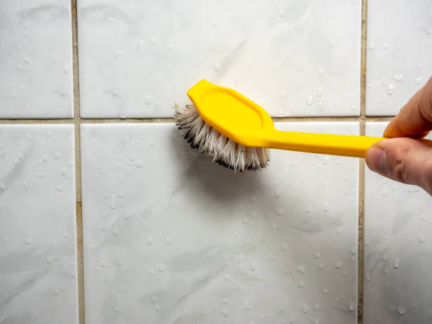 Best Certified Mold Removal  in El Cerro, NM