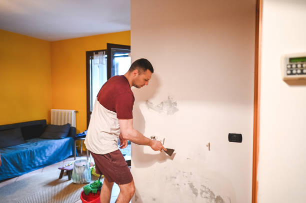 Best Toxic Mold Removal  in El Cerro, NM